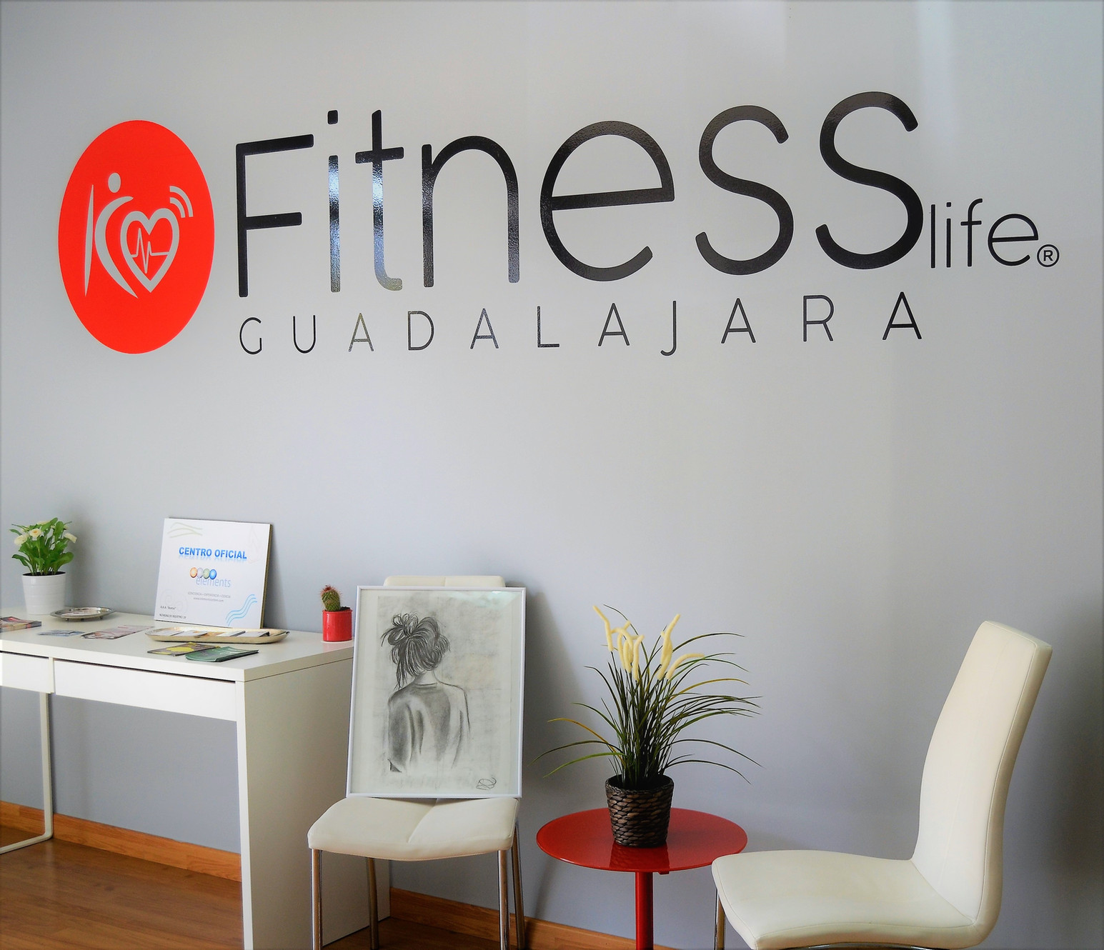 FitnessLife Guadalajara