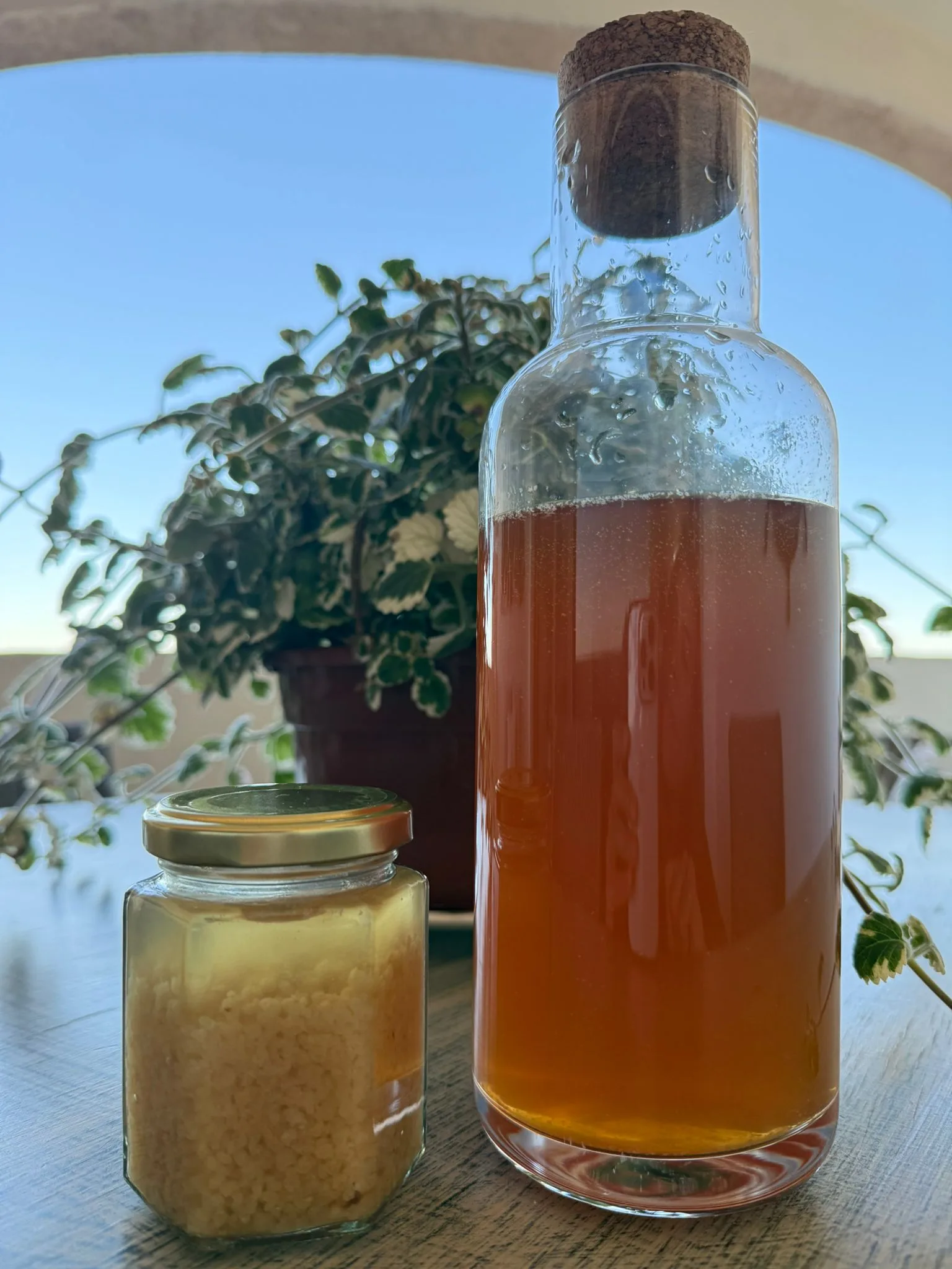 Water Kefir: The Natural Probiotic That Supports Your Microbiome and Refreshes Your Wellness Routine